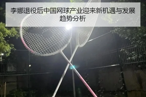 li-na-tui-yi-hou-zhong-guo-wang-qiu-chan-ye-ying-lai-xin-ji-yu-yu-fa-zhan-qu-shi-fen-xi-2-897.jpg