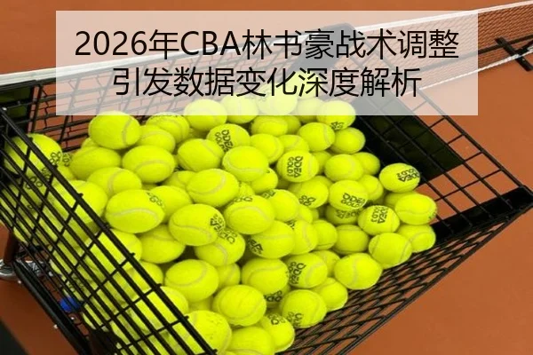2026年CBA林书豪战术调整引发数据变化深度解析