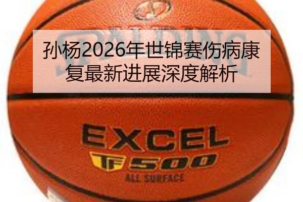 孙杨2026年世锦赛伤病康复最新进展深度解析