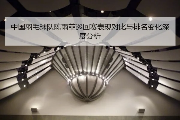 中国羽毛球队陈雨菲巡回赛表现对比与排名变化深度分析